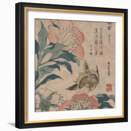 Peony and Canary, circa 1825-Katsushika Hokusai-Framed Art Print