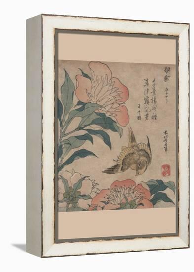 Peony and Canary-Katsushika Hokusai-Framed Stretched Canvas