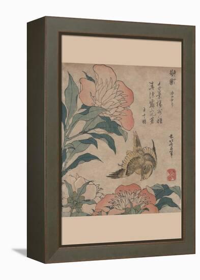 Peony and Canary-Katsushika Hokusai-Framed Stretched Canvas