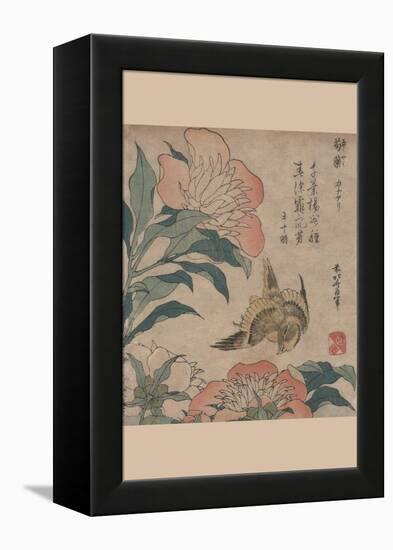 Peony and Canary-Katsushika Hokusai-Framed Stretched Canvas