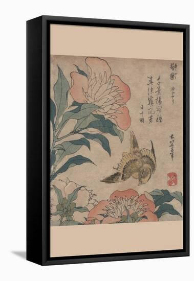 Peony and Canary-Katsushika Hokusai-Framed Stretched Canvas