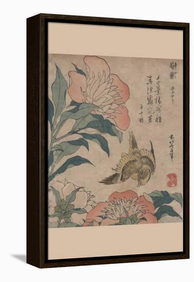 Peony and Canary-Katsushika Hokusai-Framed Stretched Canvas