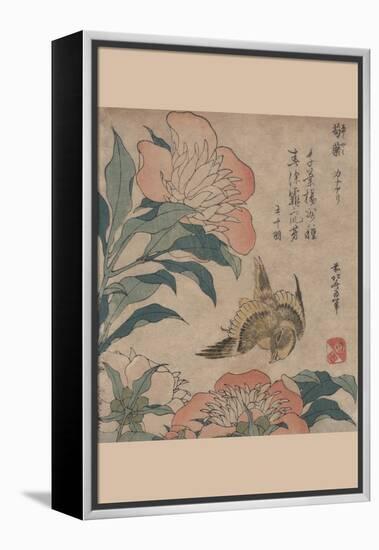 Peony and Canary-Katsushika Hokusai-Framed Stretched Canvas