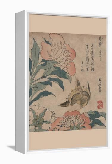 Peony and Canary-Katsushika Hokusai-Framed Stretched Canvas