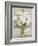 Peony - Arrangement-Tania Bello-Framed Giclee Print