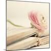 Peony Books Square-Sarah Gardner-Mounted Photographic Print