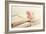 Peony Books-Sarah Gardner-Framed Photographic Print