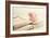 Peony Books-Sarah Gardner-Framed Photographic Print