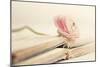 Peony Books-Sarah Gardner-Mounted Photographic Print