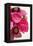 Peony Bouquet II-Karyn Millet-Framed Premier Image Canvas