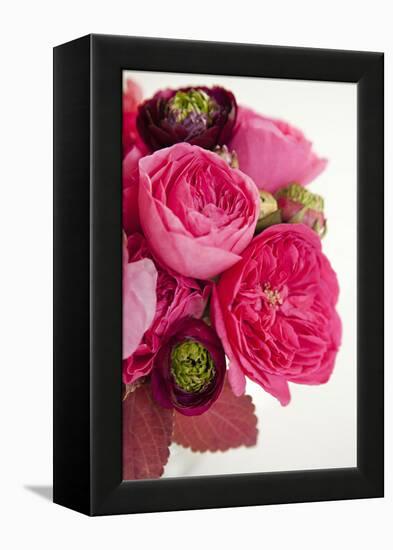 Peony Bouquet II-Karyn Millet-Framed Premier Image Canvas