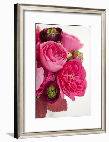 Peony Bouquet II-Karyn Millet-Framed Photographic Print