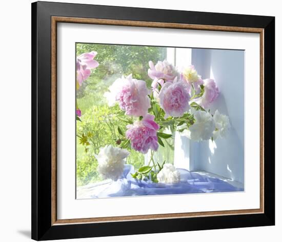 Peony Bouquet-Judy Stalus-Framed Art Print