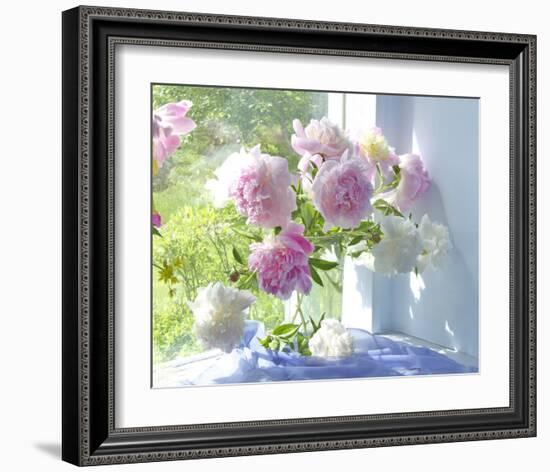 Peony Bouquet-Judy Stalus-Framed Art Print