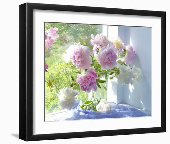 Peony Bouquet-Judy Stalus-Framed Art Print