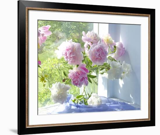 Peony Bouquet-Judy Stalus-Framed Art Print