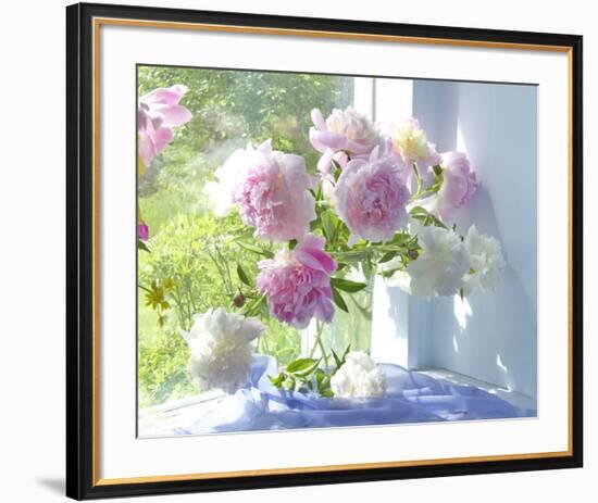 Peony Bouquet-Judy Stalus-Framed Art Print