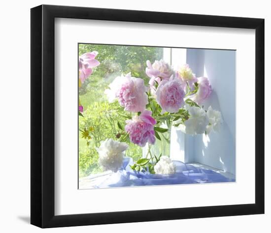 Peony Bouquet-Judy Stalus-Framed Art Print