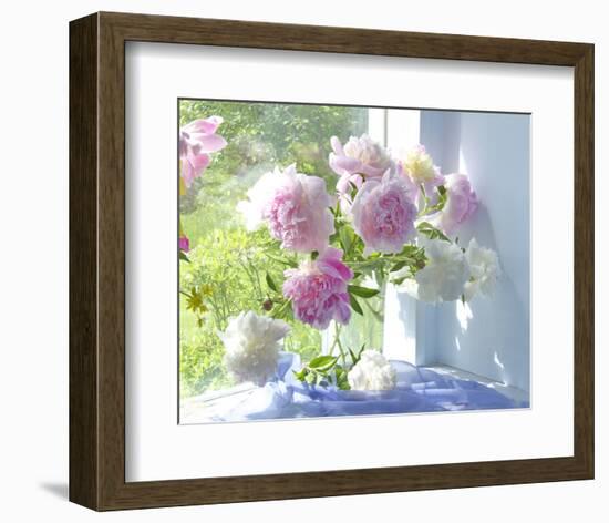 Peony Bouquet-Judy Stalus-Framed Art Print