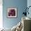 Peony Dusk I-Linda Wood-Framed Giclee Print displayed on a wall