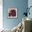 Peony Dusk I-Linda Wood-Framed Giclee Print displayed on a wall