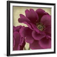 Peony Dusk II-Linda Wood-Framed Art Print