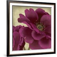 Peony Dusk II-Linda Wood-Framed Art Print