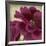 Peony Dusk II-Linda Wood-Framed Art Print