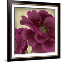 Peony Dusk II-Linda Wood-Framed Art Print