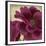 Peony Dusk II-Linda Wood-Framed Art Print