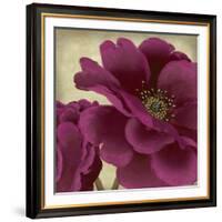 Peony Dusk II-Linda Wood-Framed Art Print