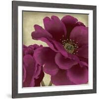 Peony Dusk II-Linda Wood-Framed Art Print