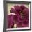 Peony Dusk II-Linda Wood-Framed Art Print