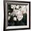 Peony Fancy-Tania Bello-Framed Giclee Print