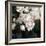 Peony Fancy-Tania Bello-Framed Giclee Print