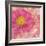 Peony - Feminine Beauty-Cora Niele-Framed Photographic Print