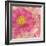 Peony - Feminine Beauty-Cora Niele-Framed Photographic Print