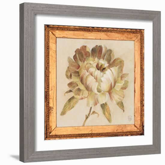 Peony Floret Detail-Lauren Hamilton-Framed Art Print