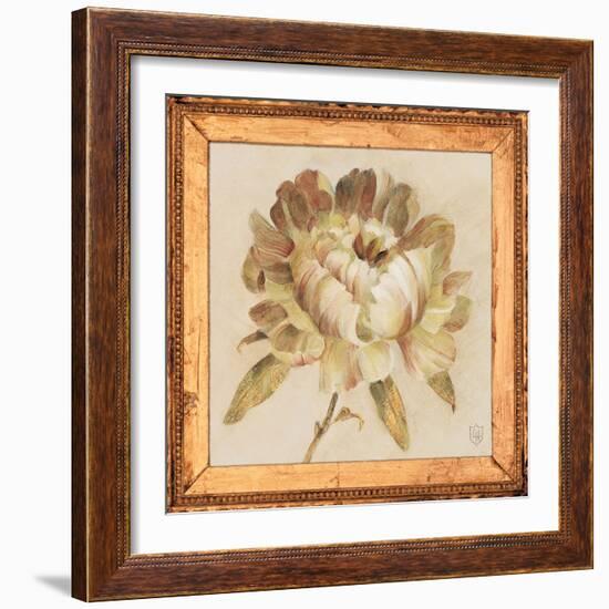 Peony Floret Detail-Lauren Hamilton-Framed Art Print