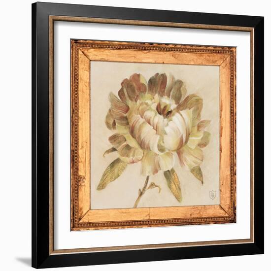 Peony Floret Detail-Lauren Hamilton-Framed Art Print