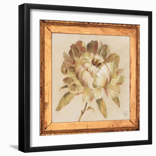 Peony Floret Detail-Lauren Hamilton-Framed Art Print