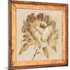 Peony Floret Detail-Lauren Hamilton-Mounted Art Print