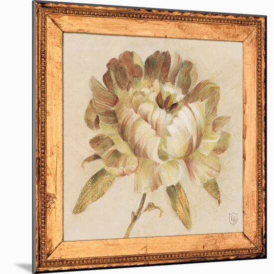 Peony Floret Detail-Lauren Hamilton-Mounted Art Print