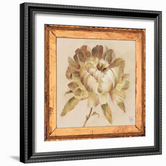 Peony Floret Detail-Lauren Hamilton-Framed Art Print