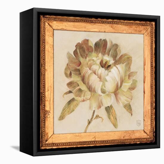 Peony Floret Detail-Lauren Hamilton-Framed Stretched Canvas