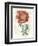Peony Flower Garden IV-Vision Studio-Framed Premium Giclee Print