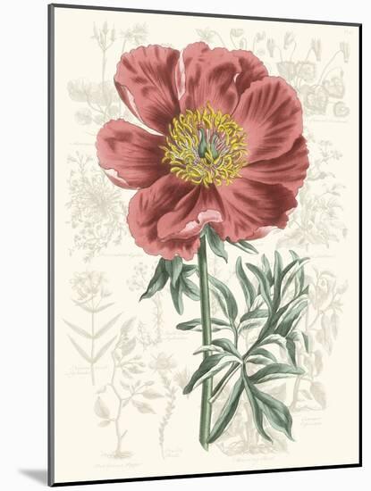 Peony Flower Garden IV-Vision Studio-Mounted Art Print