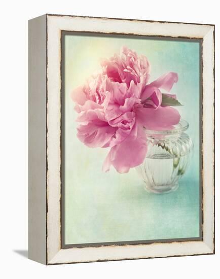 Peony Flower in a Vase-egal-Framed Premier Image Canvas