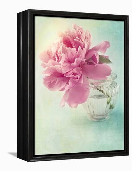 Peony Flower in a Vase-egal-Framed Premier Image Canvas