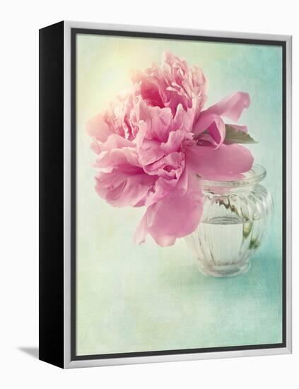 Peony Flower in a Vase-egal-Framed Premier Image Canvas